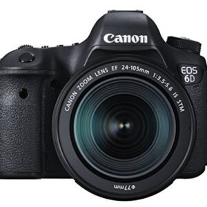 Canon EOS 5D Mark IV and Sections with Sidebar
